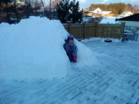 Nya projekt i trädgården